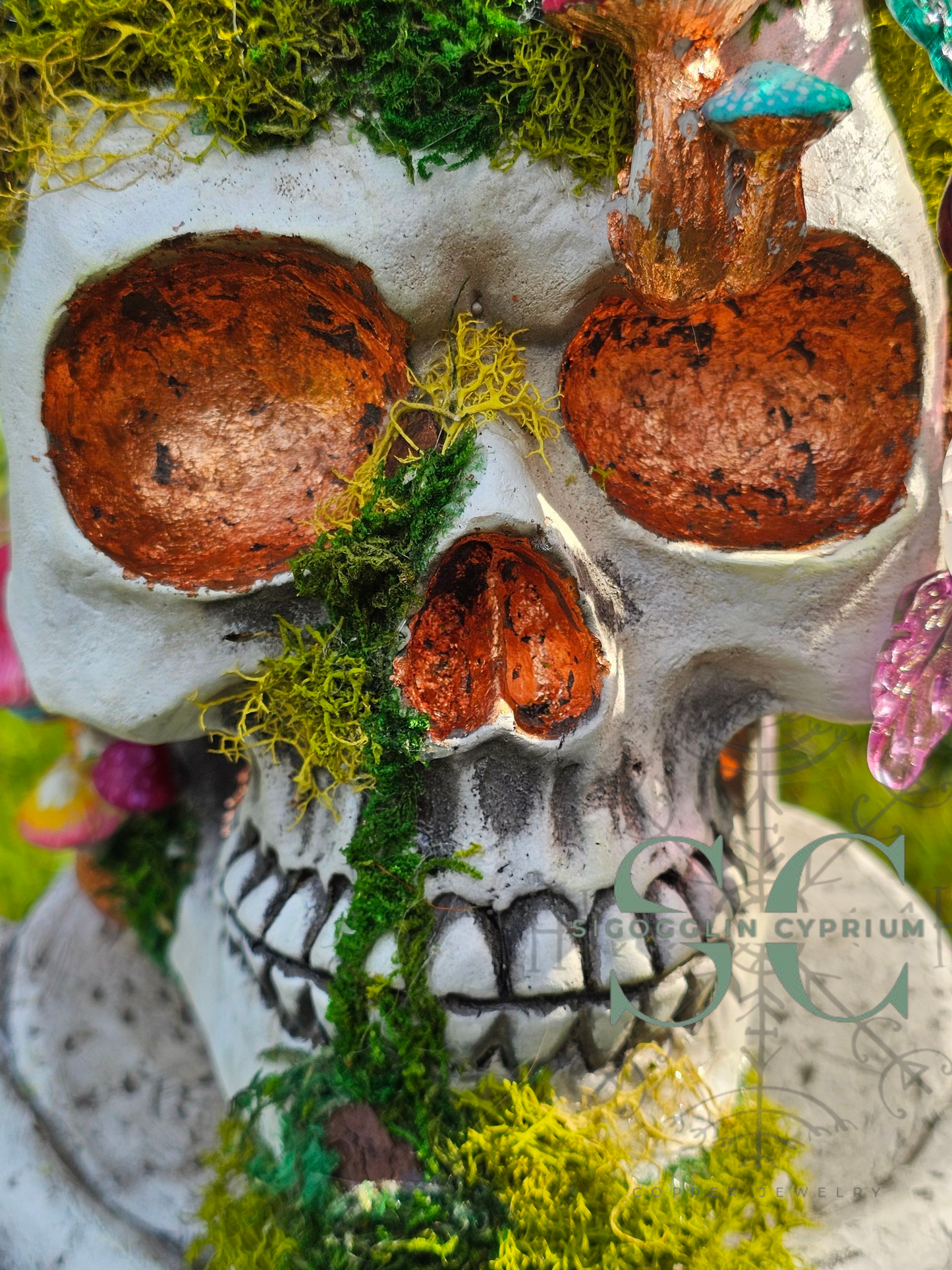 The Skull of "Corwyn the Cursed"
